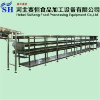 Hebei Saiheng Food Processing Equipment Co.,Ltd image 29